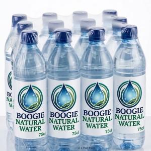 Boogie Natural Water 75cl Bottle